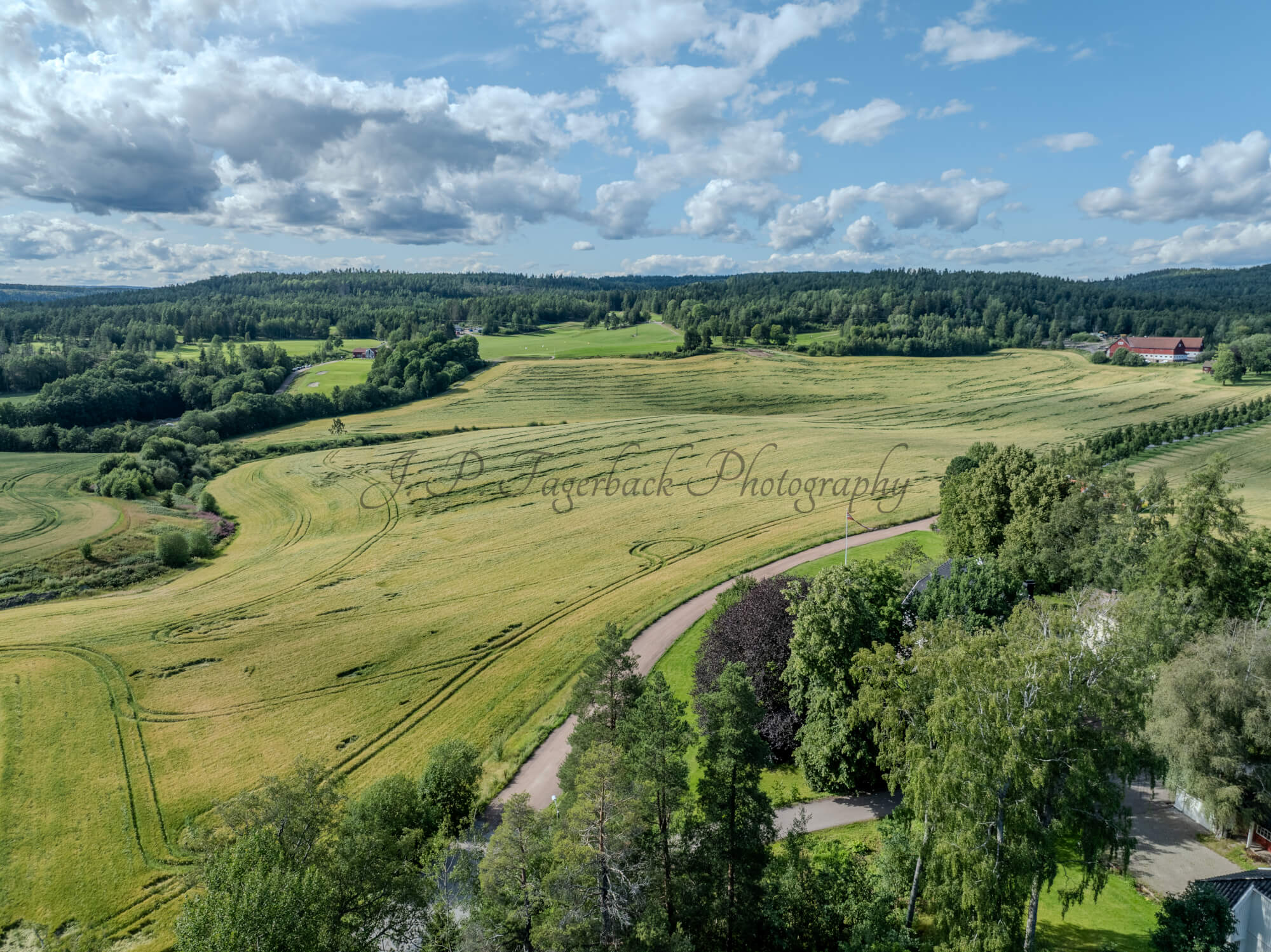 Green fields under a blue almost cloudless sky